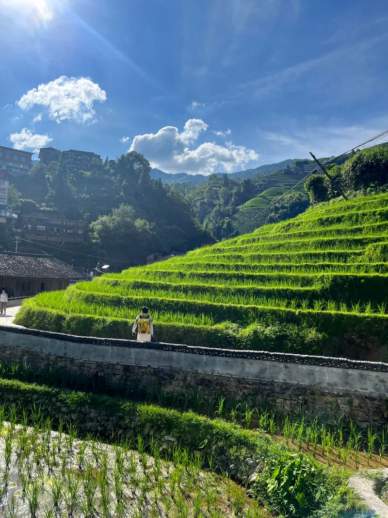 Rizières en terrasses sous un ciel bleu